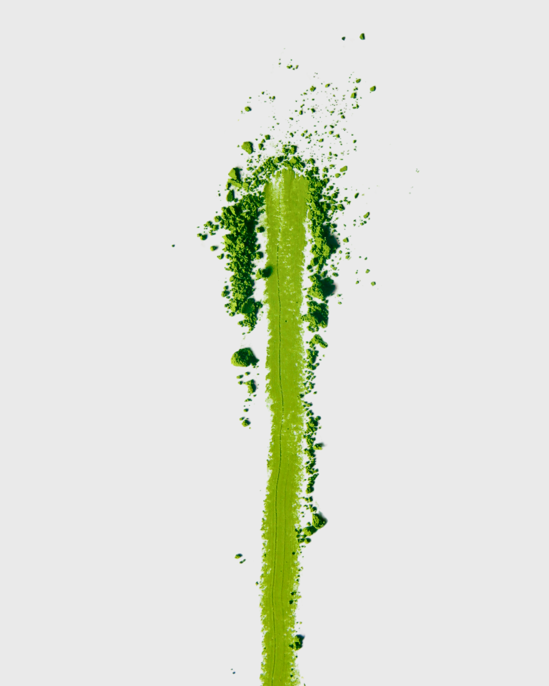 CAMELLIA BARISTA MATCHA