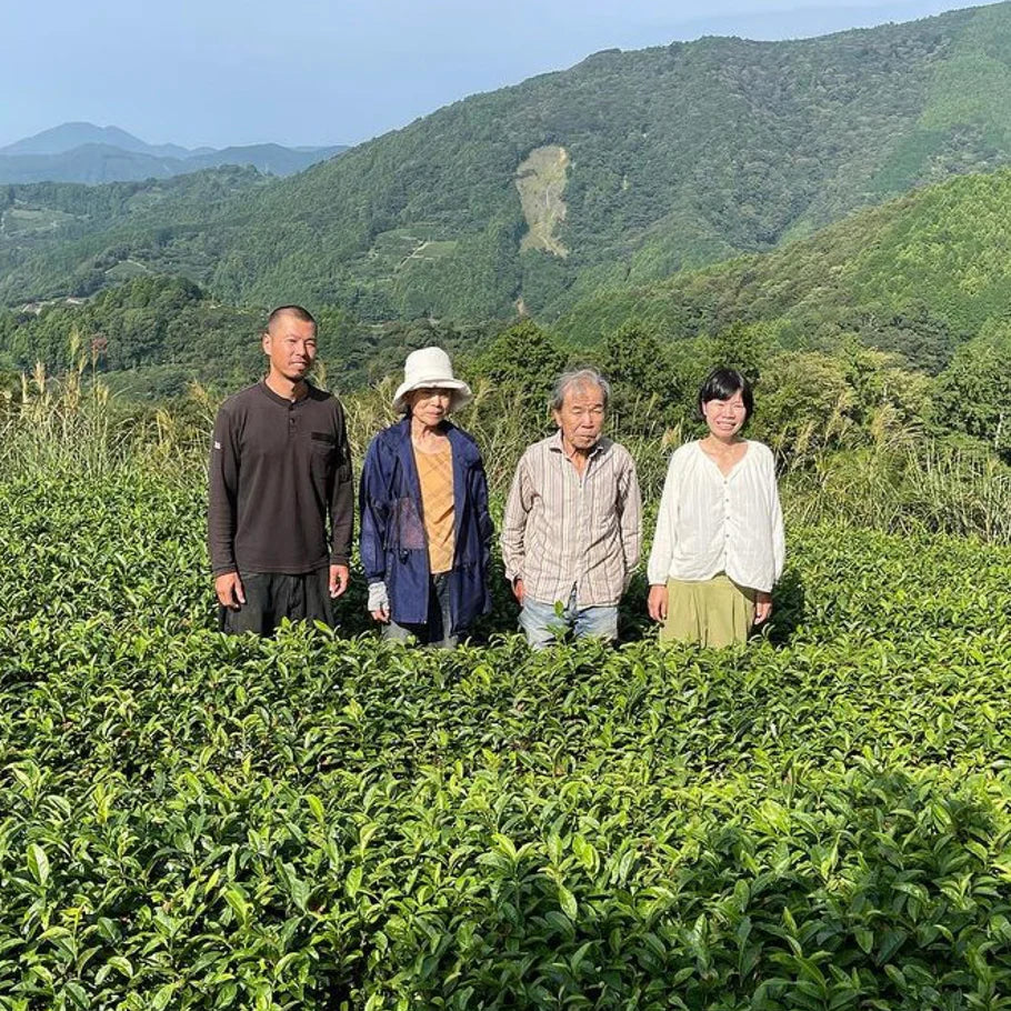 B1 Matcha Naturally Grown in Fujieda 1kg (WHOLESALE)