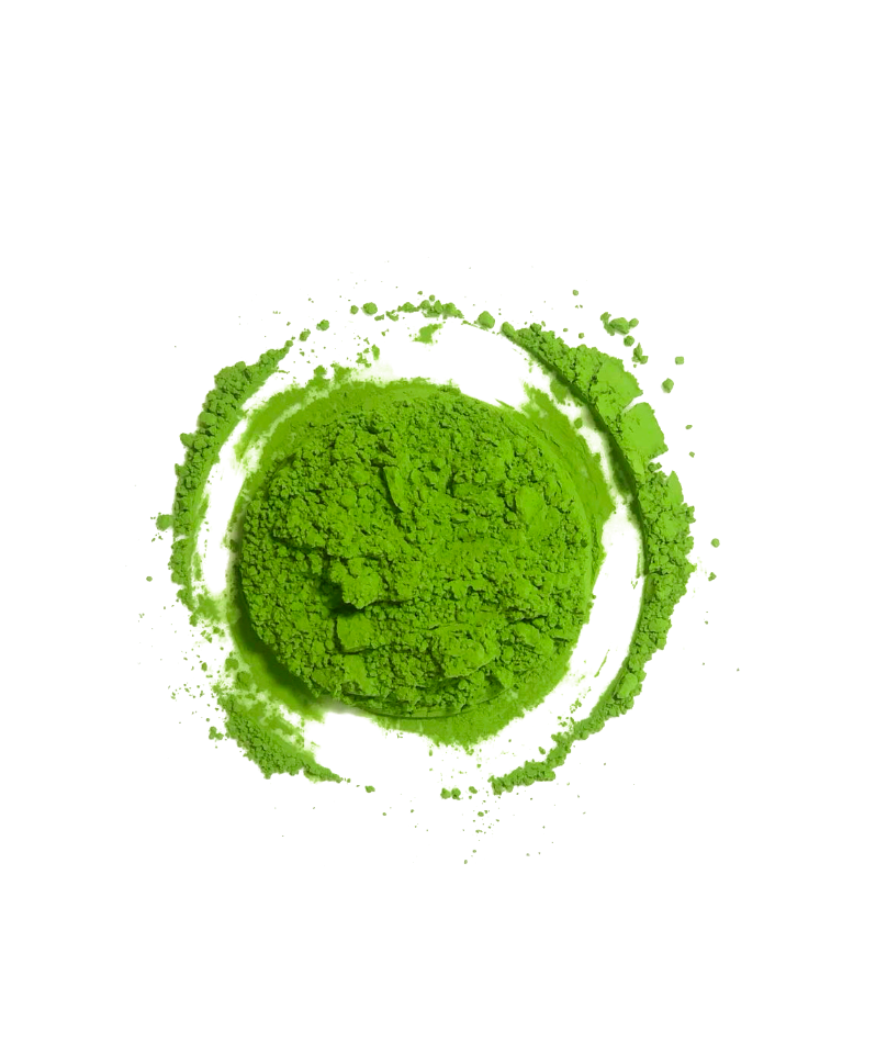 CAMELLIA BARISTA MATCHA